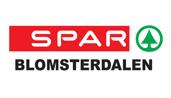 Håndball støttespiller